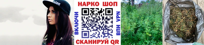 МЕФ Курган