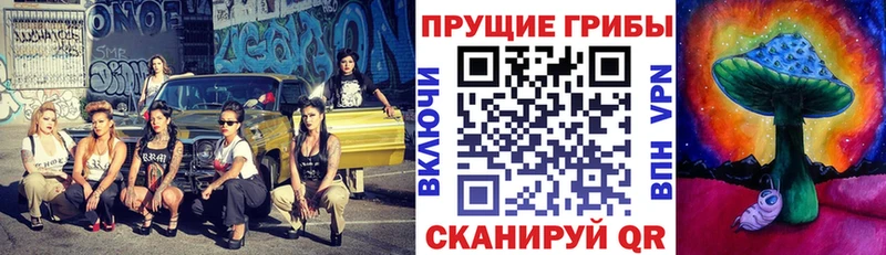 Галлюциногенные грибы прущие грибы  kraken рабочий сайт  Курган  сколько стоит 